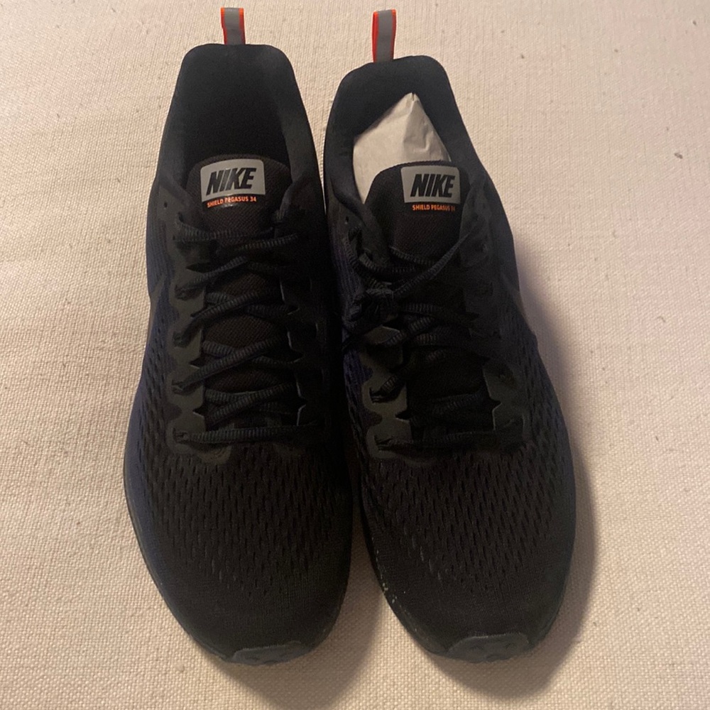 Air Zoom Pegasus 34 Shield